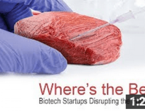 Where’s the Beef? Startups Disrupting the Food Chain