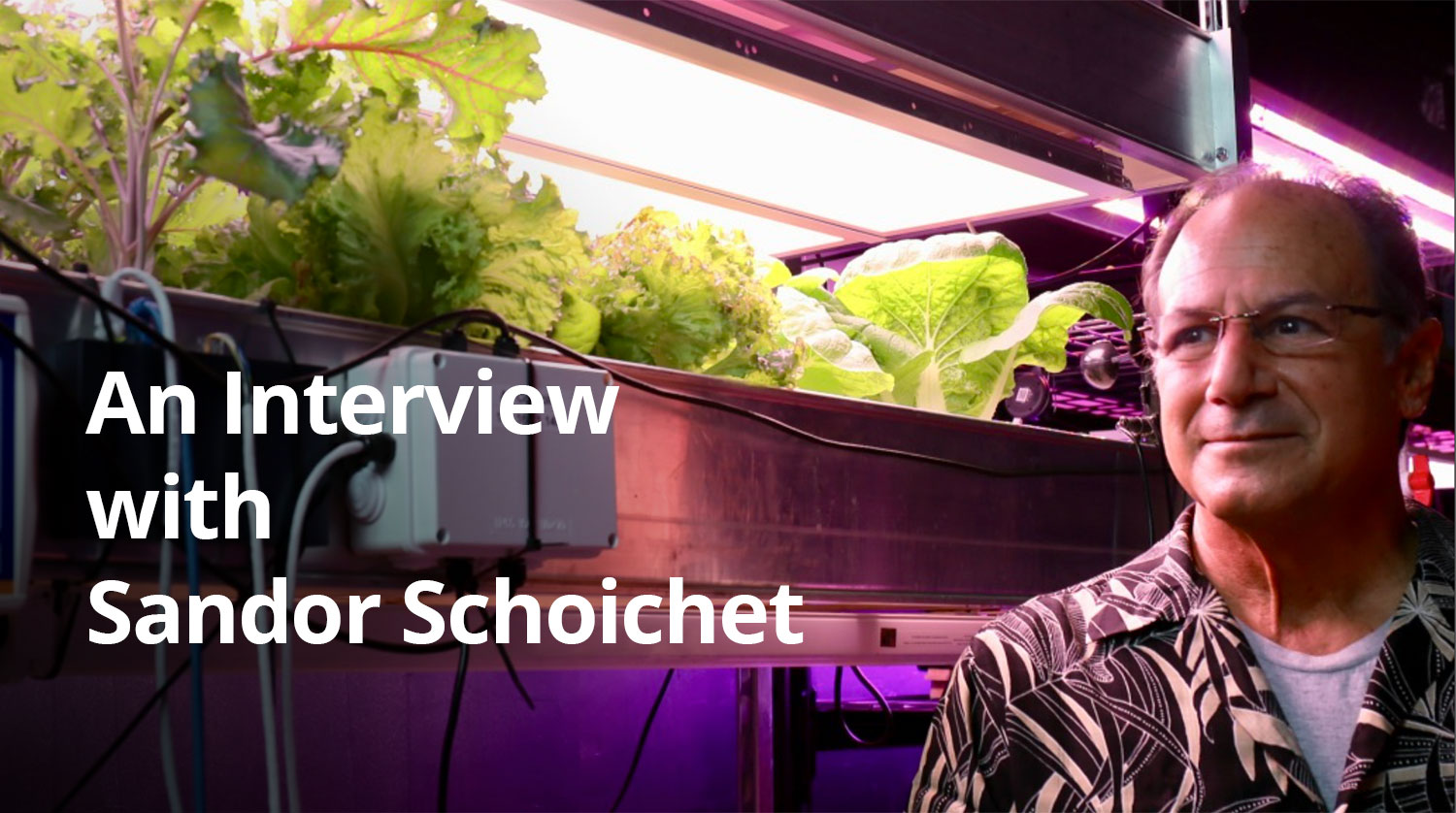 Sandor Schoichet interview
